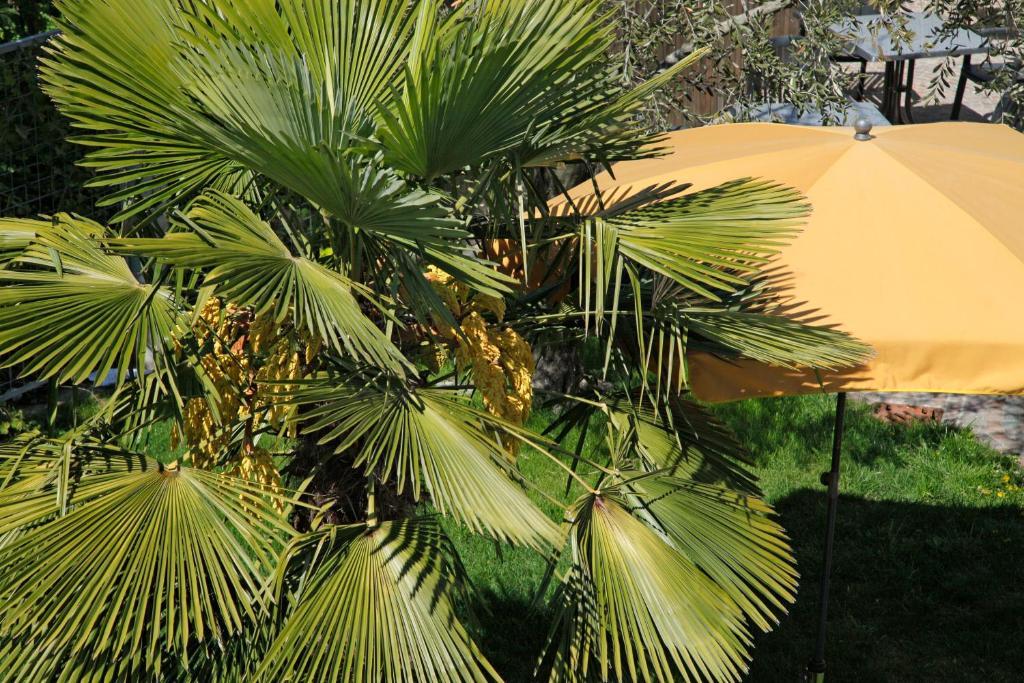 Hotel Jardis (Adults Only) لانا المظهر الخارجي الصورة